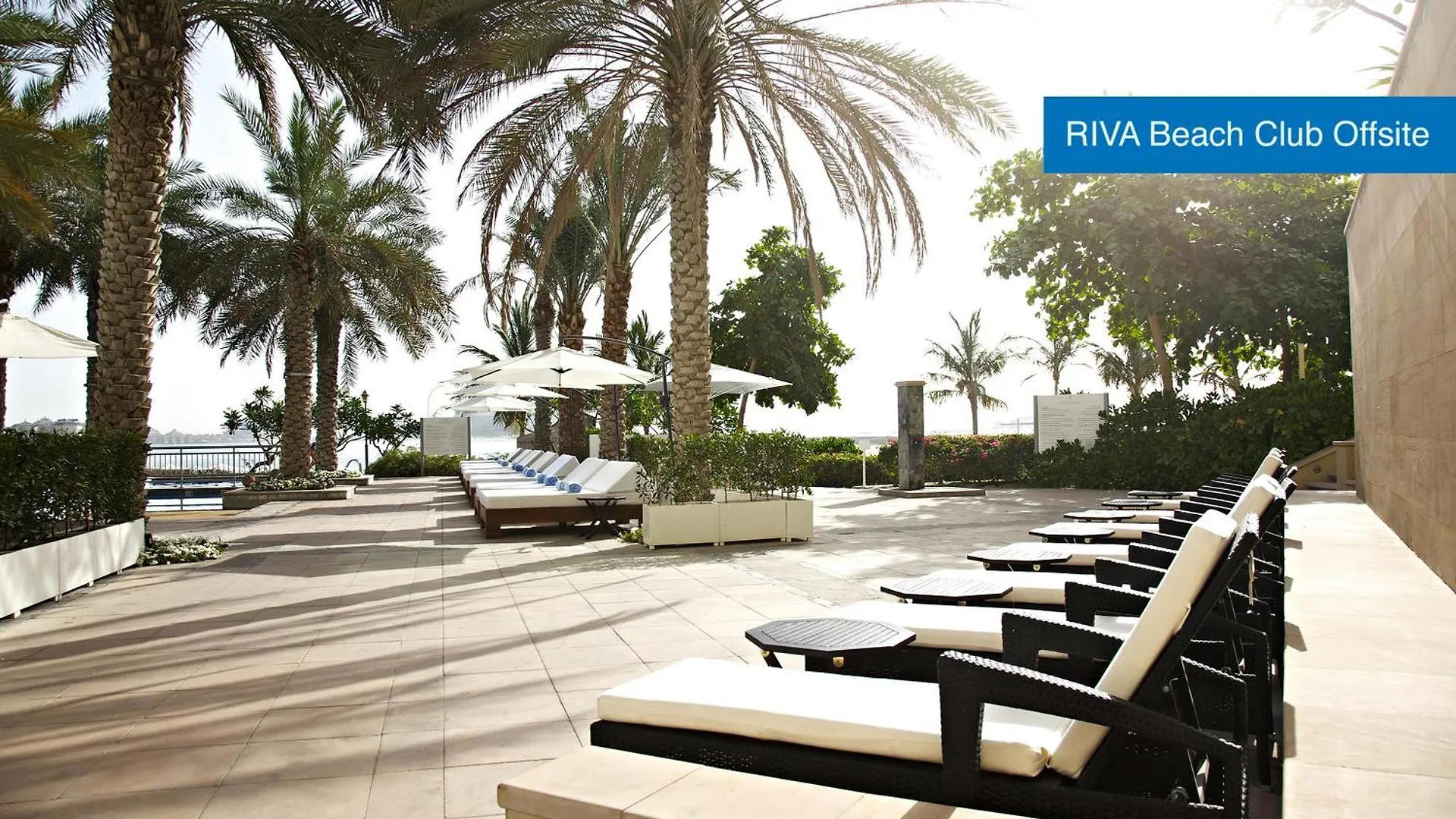 Moevenpick Hotel Jumeirah Lakes Towers Dubai